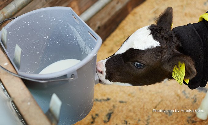 牛乳の福祉